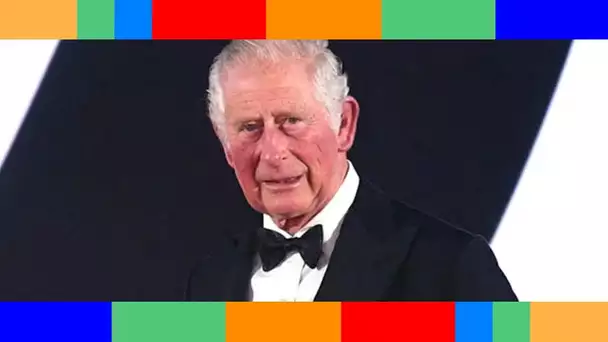 Prince Charles  cette somme annuelle colossale qu'il pourrait devoir verser à son fils William