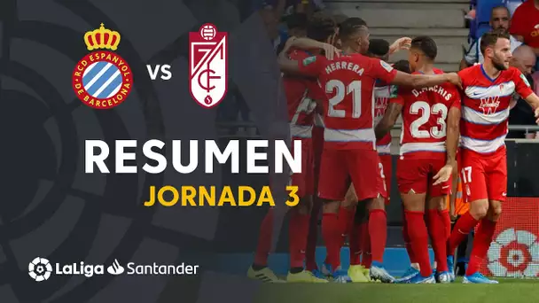 Resumen de RCD Espanyol vs Granada CF (0-0)