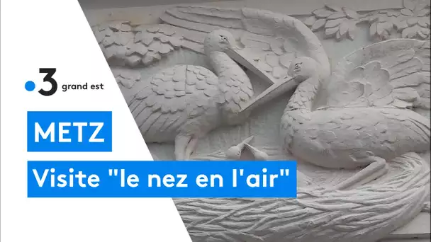 Sortie d'un livre sur le patrimoine architectural de Metz " Metz, le nez en l'air"