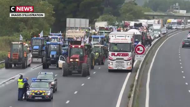 Les agriculteurs se donnent rendez-vous le 27 novembre à Paris