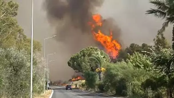 Nouveaux départs de feu en Italie, en Grèce et en Turquie