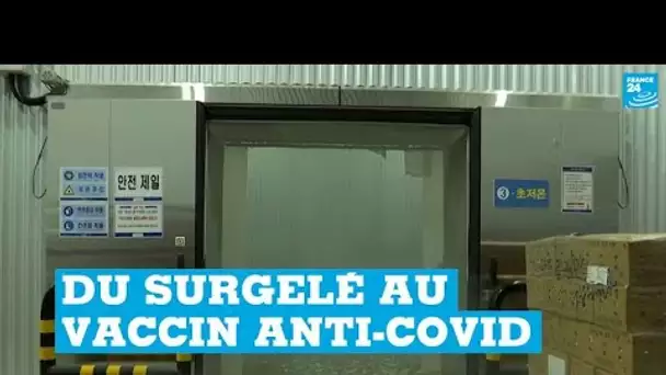 Covid-19 : en Corée du Sud, une entreprise de surgelés se propose de stocker le vaccin de Pfizer