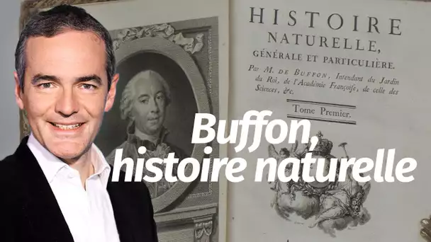 Au cœur de l'Histoire: Buffon, histoire naturelle (Franck Ferrand)