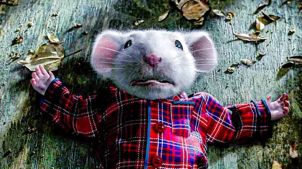 JE SUIS STUART LITTLE