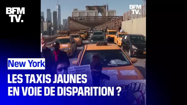 Les taxis jaunes new-yorkais en voie de disparition ?