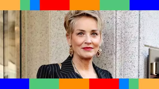 Sharon Stone larguée : cette raison écoeurante pour laquelle un homme plus jeune qu'elle a arrêté de