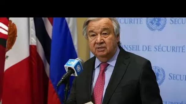 "Il est temps de mettre fin à cette guerre absurde", déclare le chef de l'ONU Antonio Guterres