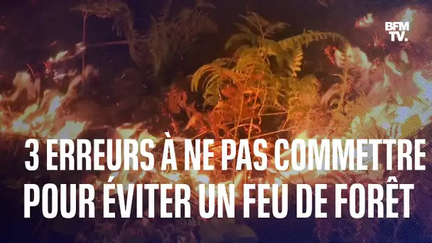 3 erreurs à ne pas commettre pour éviter un feu de forêt