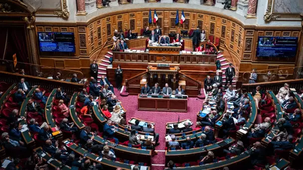 Le budget au Sénat, dernières heures apaisées pour un gouvernement en sursis