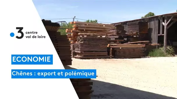 Centre-Val de Loire : L'export du chêne vers l'Asie fait polémique