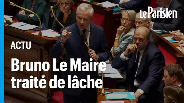 Bruno Le Maire traité de lâche à l'Assemblée Nationale