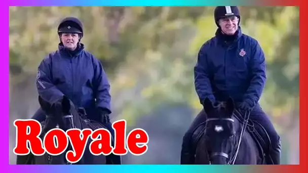 Le prince Andrew a repéré l'équitation à Windsor avant Noël anxieux – la date du tribun@l est fixée