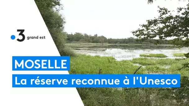 La réserve de biosphère de Moselle-Sud reconnue par l'Unesco au patrimoine mondial de l'humanité