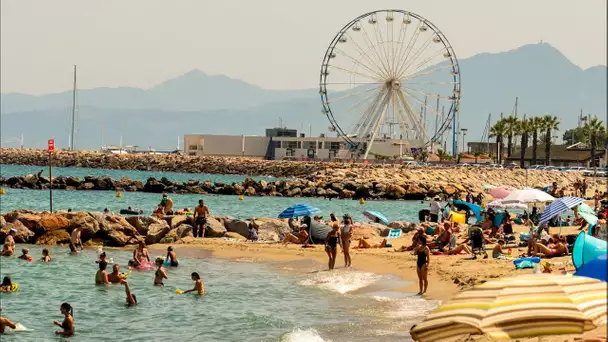 La mer Méditerranée a connu un nouveau record de température journalière le 15 août