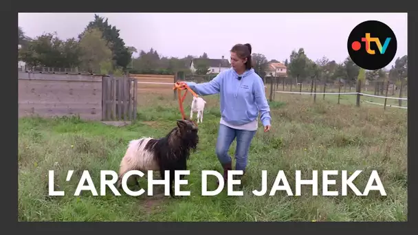 L'Arche de Jaheka, un refuge pour les animaux