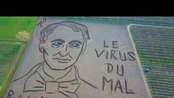 Un portrait de Baudelaire dans un champ pour le bicentenaire de la naissance du poète