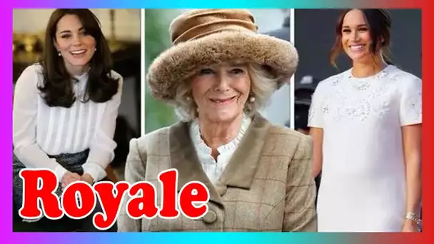 Comment Camilla suit les tr@ces de Meghan et Kate avec un nouveau rôle