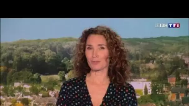 Marie-Sophie Lacarrau : son émouvant hommage à Jean-Pierre Pernaut dans le JT de 13h