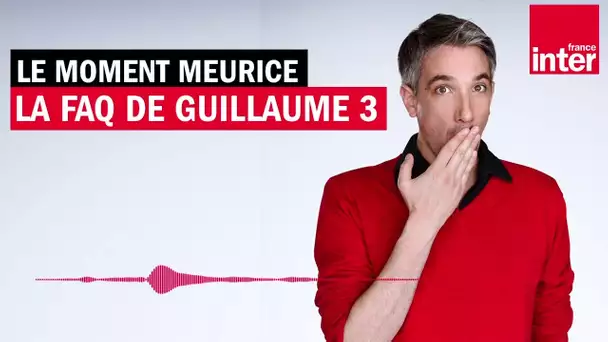 Est ce que David a dit oui à Laura ? Le moment Meurice