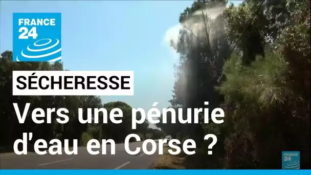 France : le préfet de Haute-Corse alerte la population sur le risque de pénurie d’eau