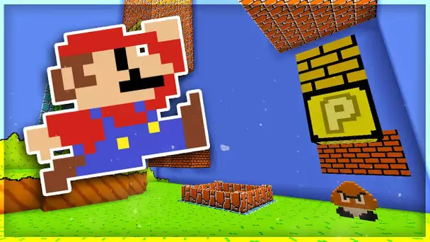 MINECRAFT MAIS C'EST SUPER MARIO !