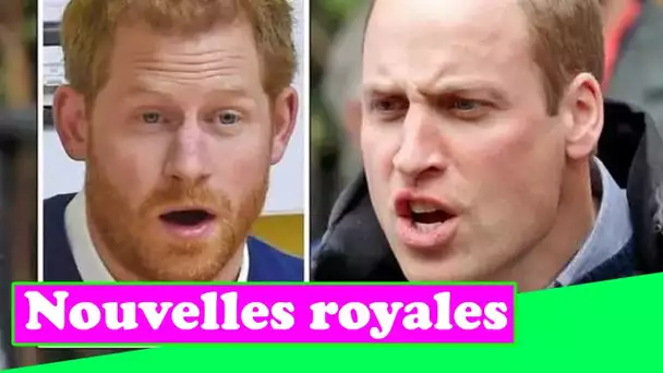 Qui diable pensez-vous que vous êtes ? » Harry a crié à William à la suite de Meghan, selon le livr