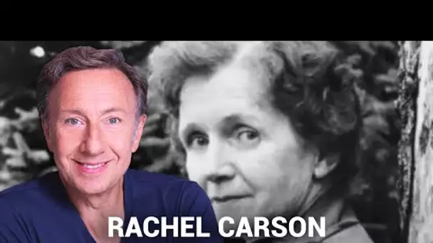 La véritable histoire de Rachel Carson, la lanceuse d'alerte écolo racontée par Stéphane Bern