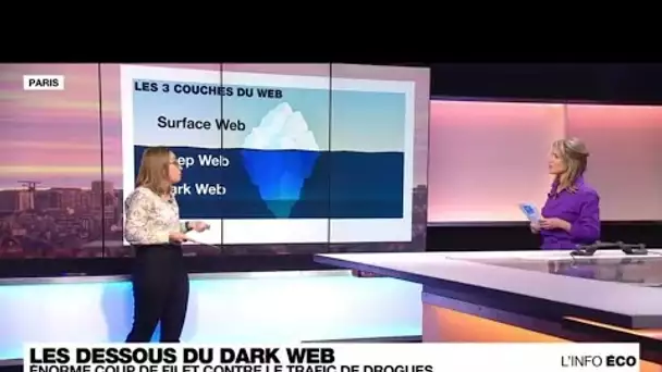 Dark web : énorme coup de filet contre le trafic de drogues • FRANCE 24