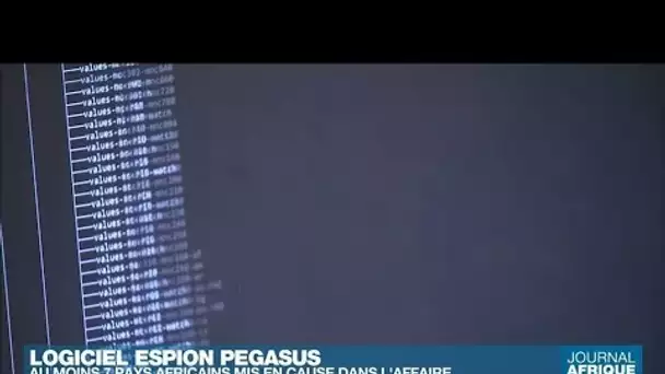 « Projet Pegasus » : le logiciel espion aurait servi à plusieurs pays africains • FRANCE 24