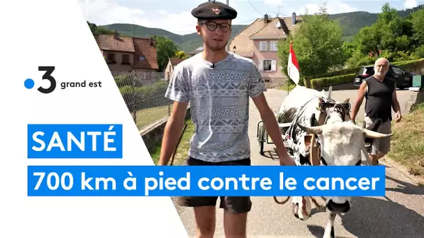 Il va parcourir 700 km à pied avec sa vache et son grand-père au profit de la lutte contre le cancer