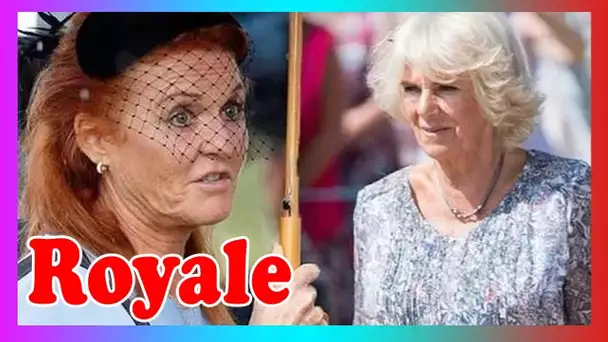 Fergie lance un défi alors qu'elle défie Camilla à la bataille d3s étagères