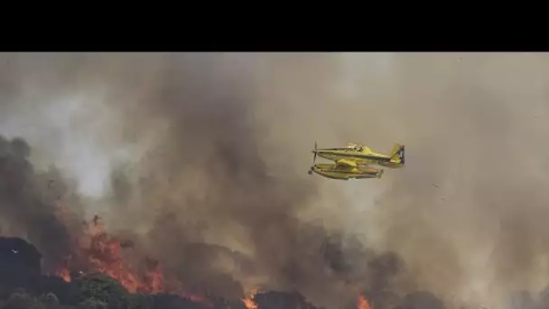 Des forêts délaissées accentuent l'intensité des incendies en Espagne et au Portugal