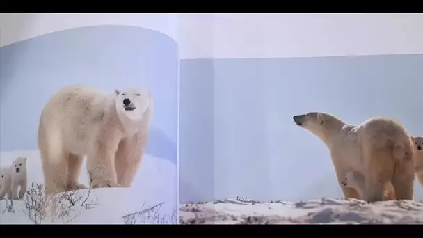 Les trois beaux livres à offrir à Noël