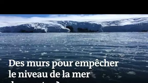 Des murs sous-marins contre la fonte des glaces