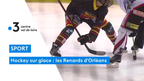 Hockey sur glace : à la découverte du club des Renards d'Orléans