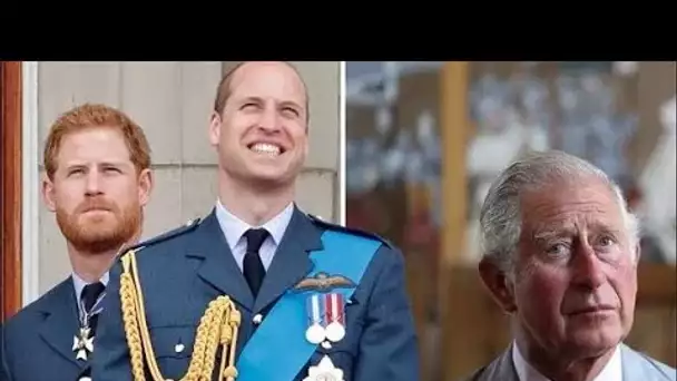 Le prince William et Harry au coude à coude dans un nouveau sondage américain, le roi Charles étant