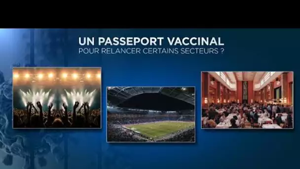 Covid-19 : faut-il mettre en place la vaccination obligatoire pour les grands événements ?