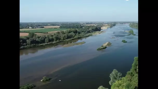 Vu du ciel : la Loire, ce fleuve sauvage