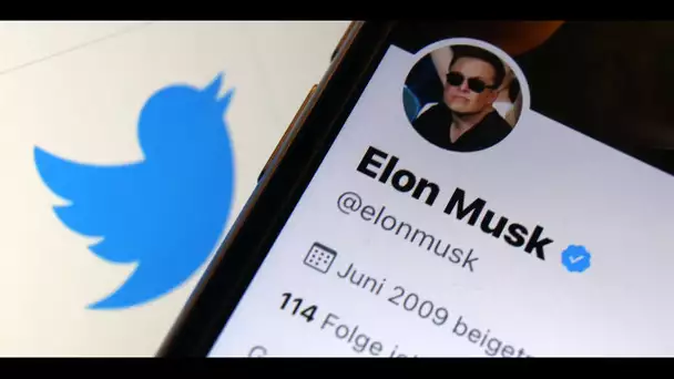 Wikipedia à nouveau sanctionnée par la Russie et les changements de Twitter imaginés par Elon Musk