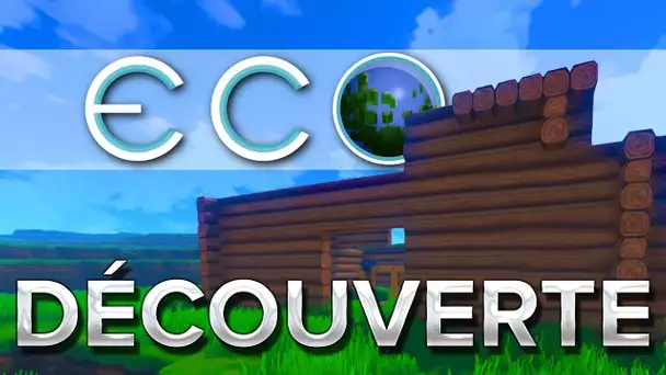 Eco #1 : Découverte