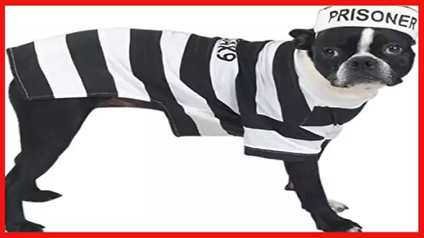 Casual Canine Prison Pooch Costume for Dogs, 24" XL