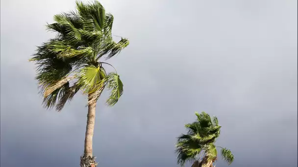 Mayotte, bientôt en alerte rouge, se prépare au passage du cyclone Chido