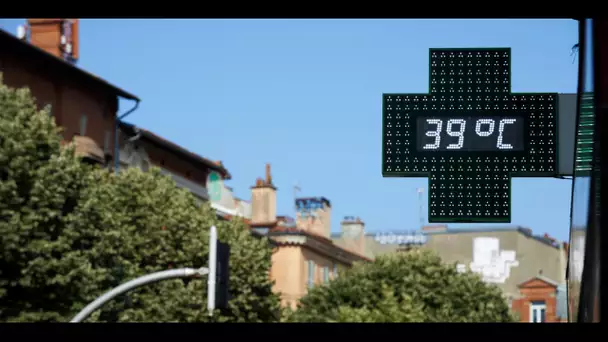 La France continue de suffoquer, 19 départements en vigilance rouge canicule, 37 en orange