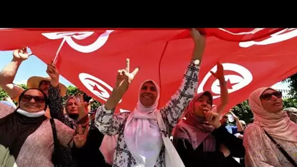 Tunisie : un référendum controversé sur la Constitution