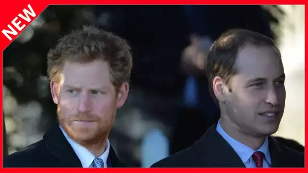 ✅  William et Harry en froid bien avant son mariage avec Meghan…