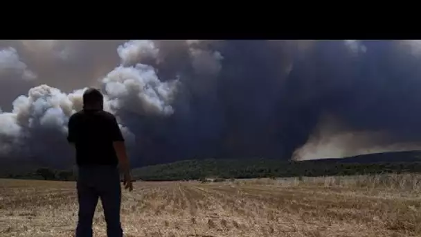 La forêt toujours en feu à une cinquantaine de kilomètres d'Athènes