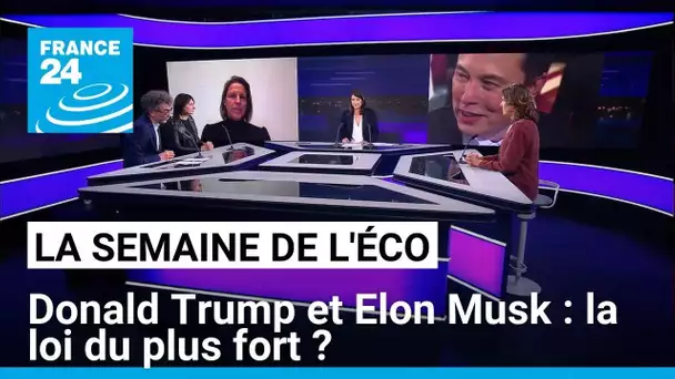 Donald Trump et Elon Musk : la loi du plus fort ? • FRANCE 24