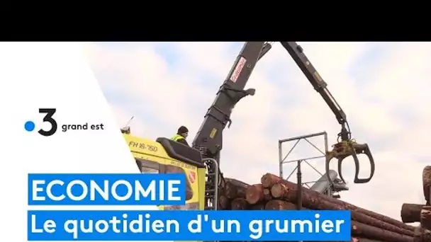 Le quotidien d'un grumier en Alsace