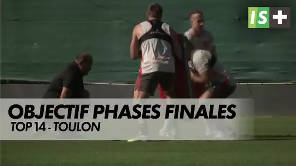 Objectif phases finales pour Toulon