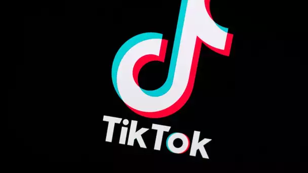 Réseaux sociaux : sur TikTok, la réécriture d'évènements historiques inquiète les professeurs d'H…